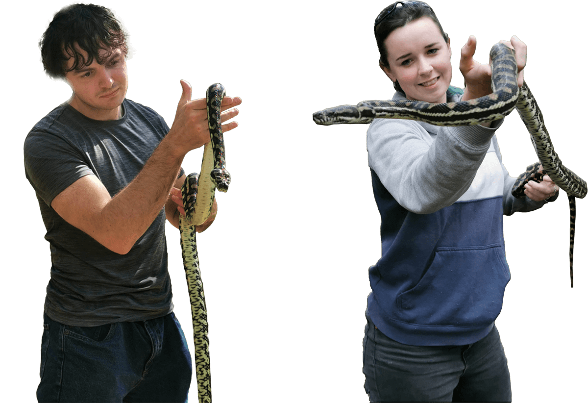 24/7 Snake Catcher Snake Rescue Sunshine Coast